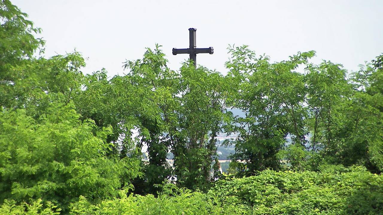 Fachexkursion beim Schwarzen Kreuz in Draßburg im Juni 2024