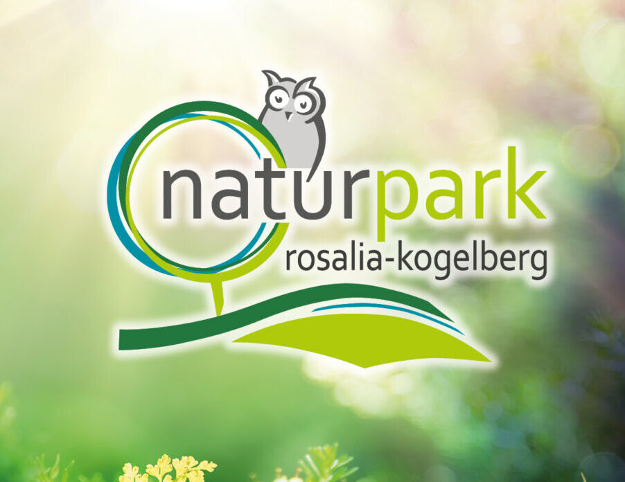 Naturpark Junior-RangerInnen im September 2024